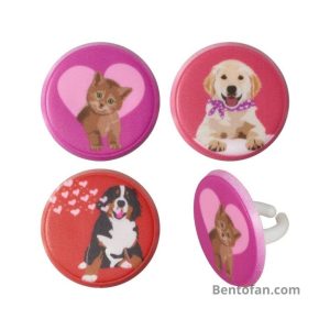 Dierenvriendjes Bento ringen
