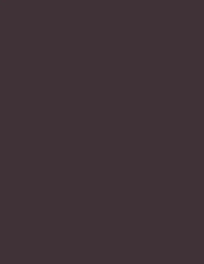 NO.0035 | Flirty Palomino